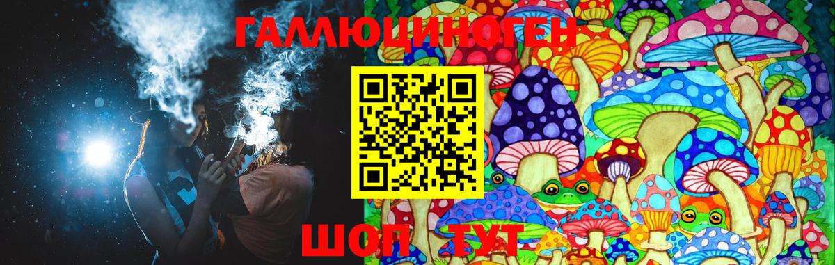 Мариинск  где продают   Вход с VPN  Псилоцибиновые грибы Cubensis 